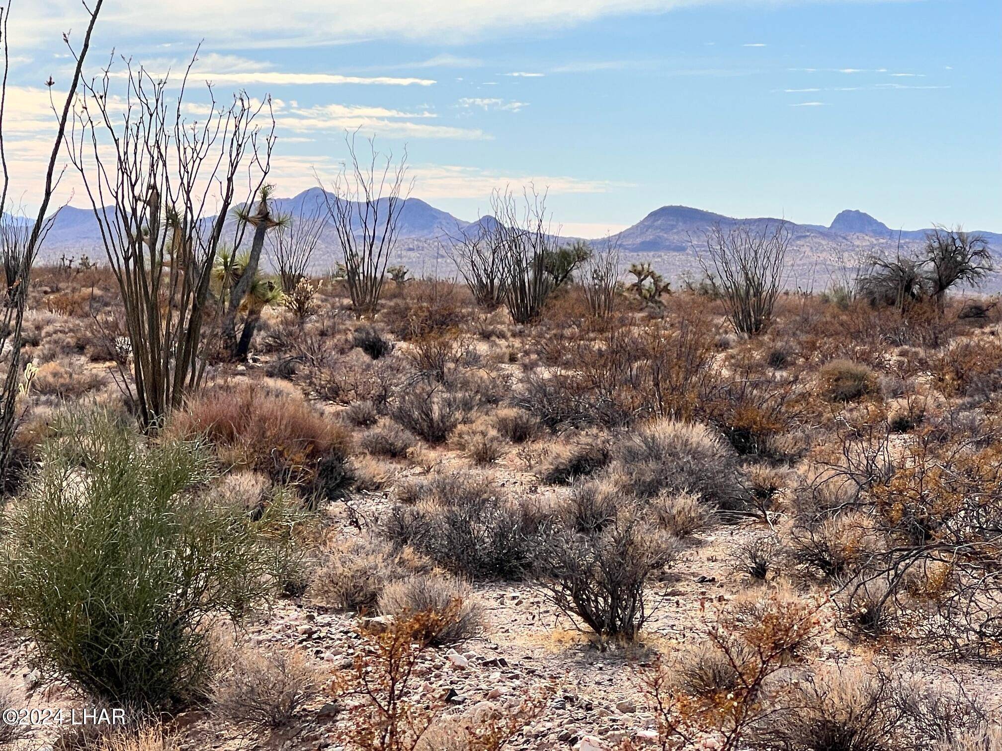 Yucca, AZ 86438,Lot 166 Lake Havasu Acres