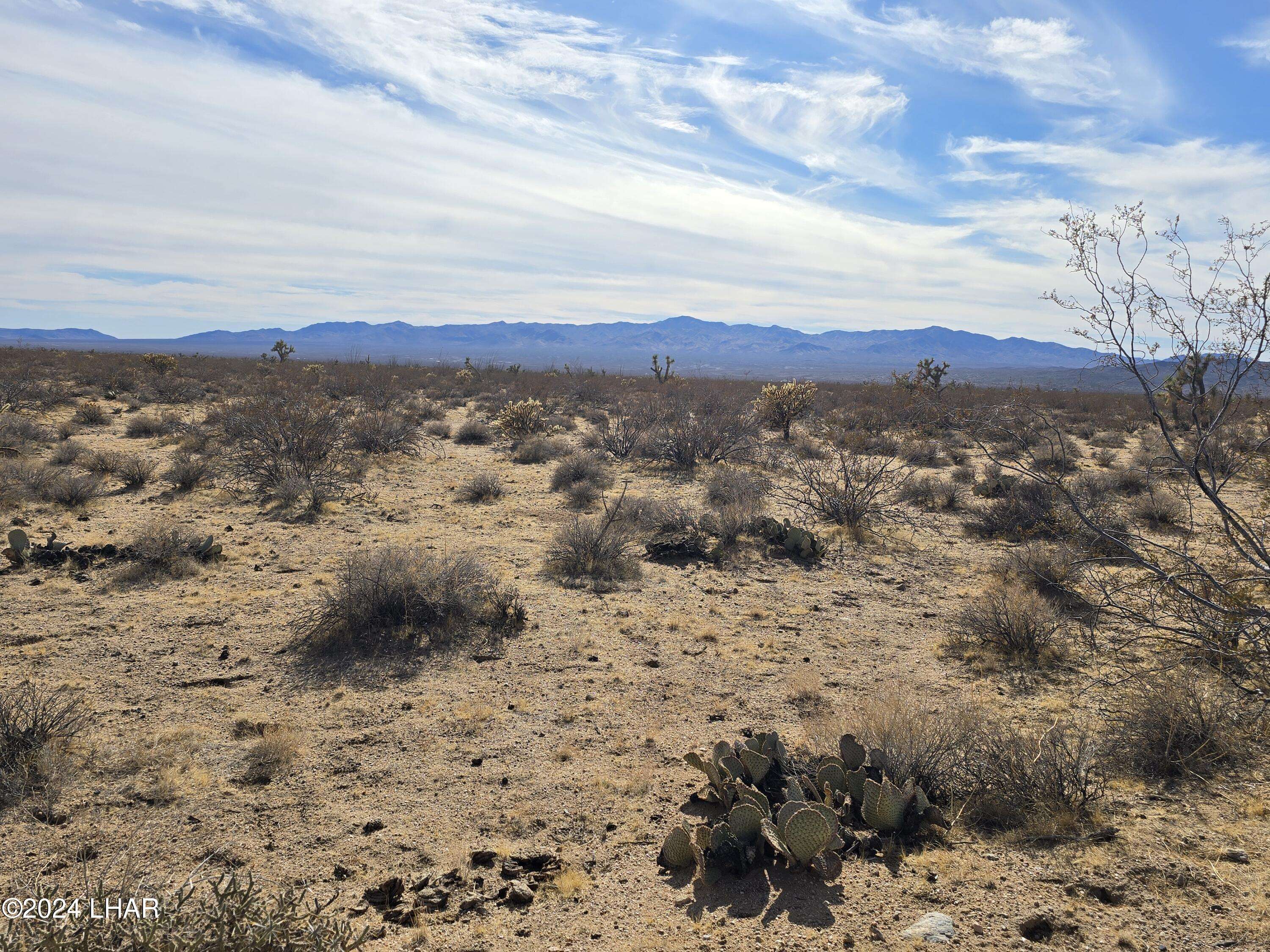 Yucca, AZ 86438,320 Acres W Brittlebush Dr