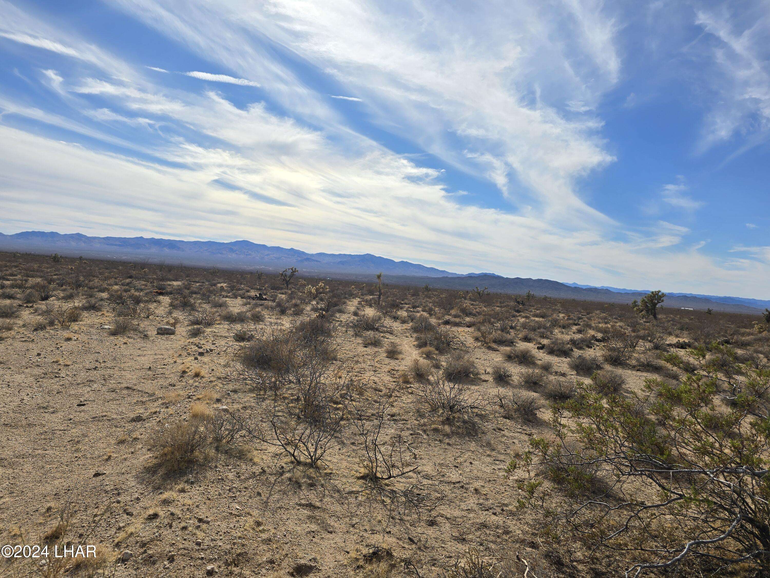 Yucca, AZ 86438,320 Acres W Brittlebush Dr