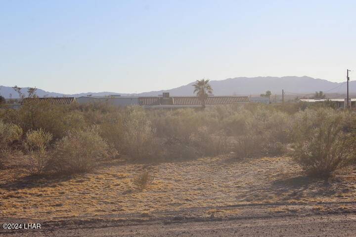 Mohave Valley, AZ 86440,10161 Jamaica Dr