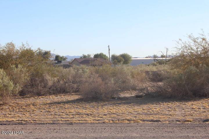 Mohave Valley, AZ 86440,10161 Jamaica Dr