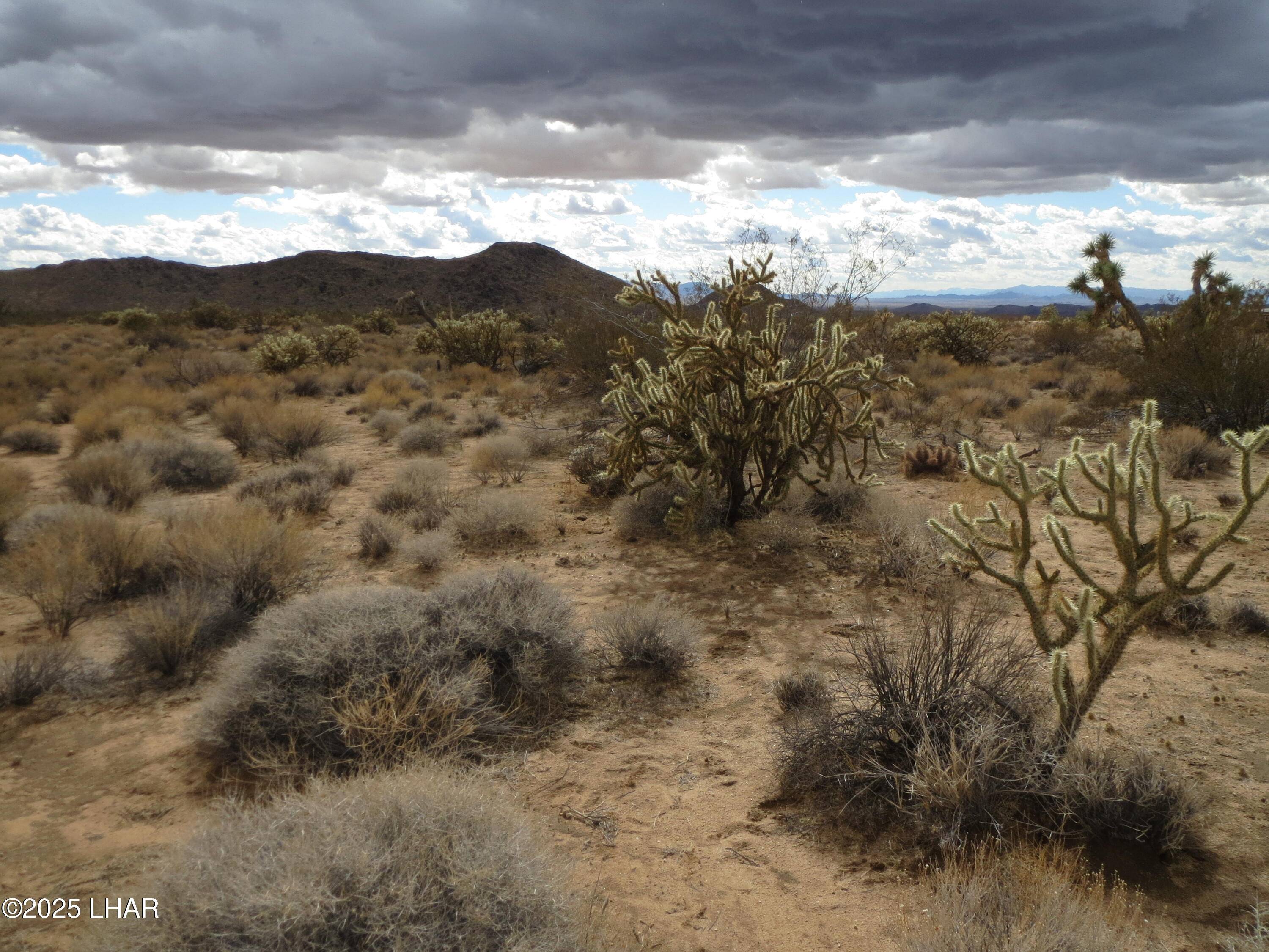 Yucca, AZ 86438,11844 S Desert View Rd