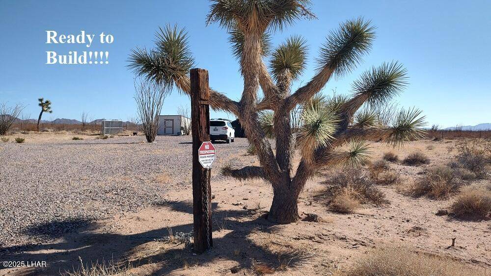 Yucca, AZ 86438,14162 Red Lake Rd