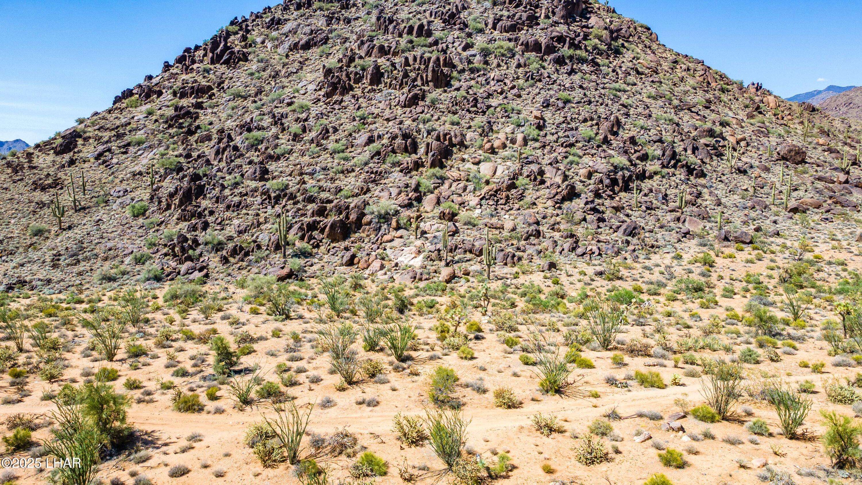 Yucca, AZ 86438,0 Allison Dr