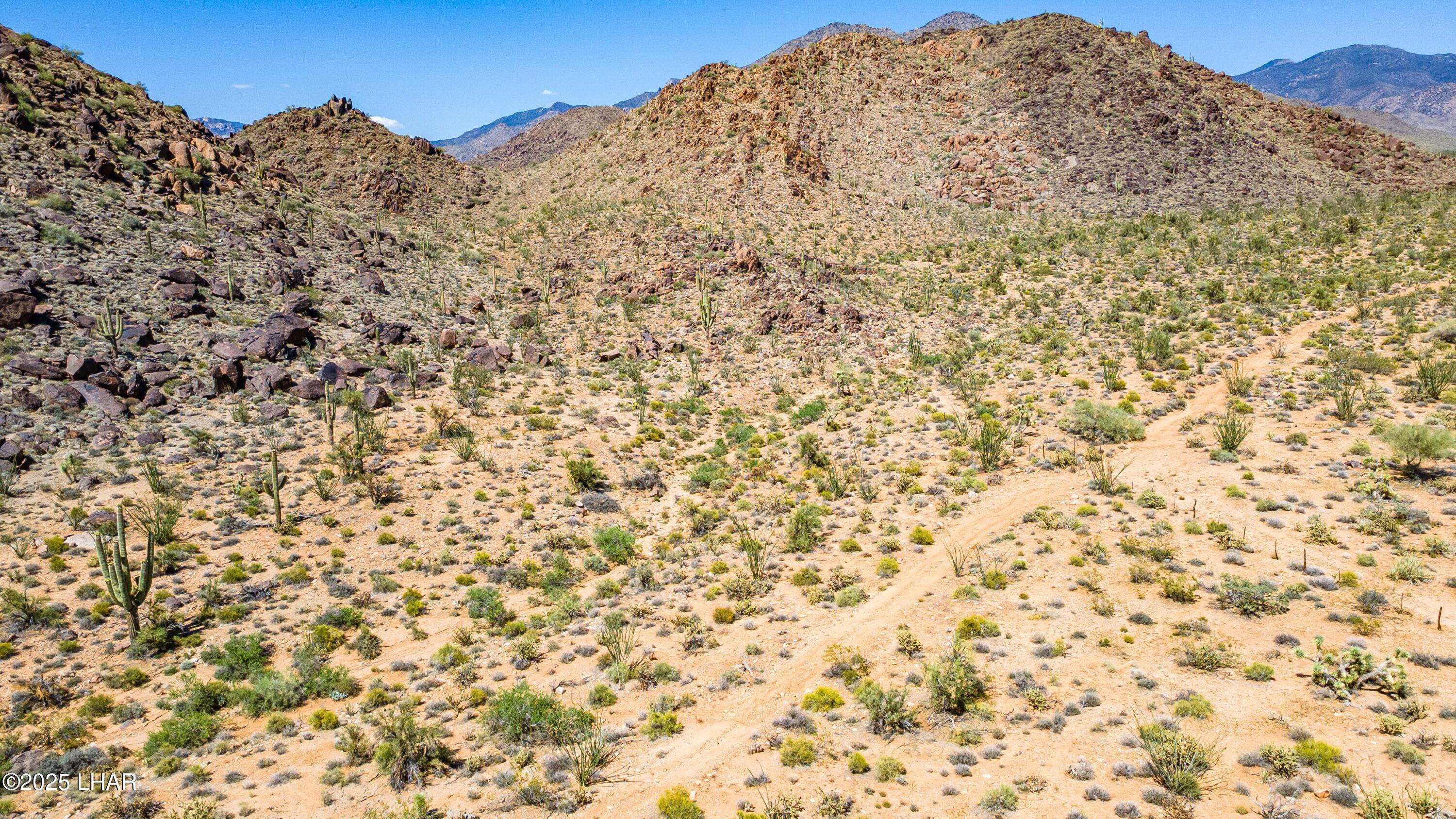 Yucca, AZ 86438,0 Allison Dr