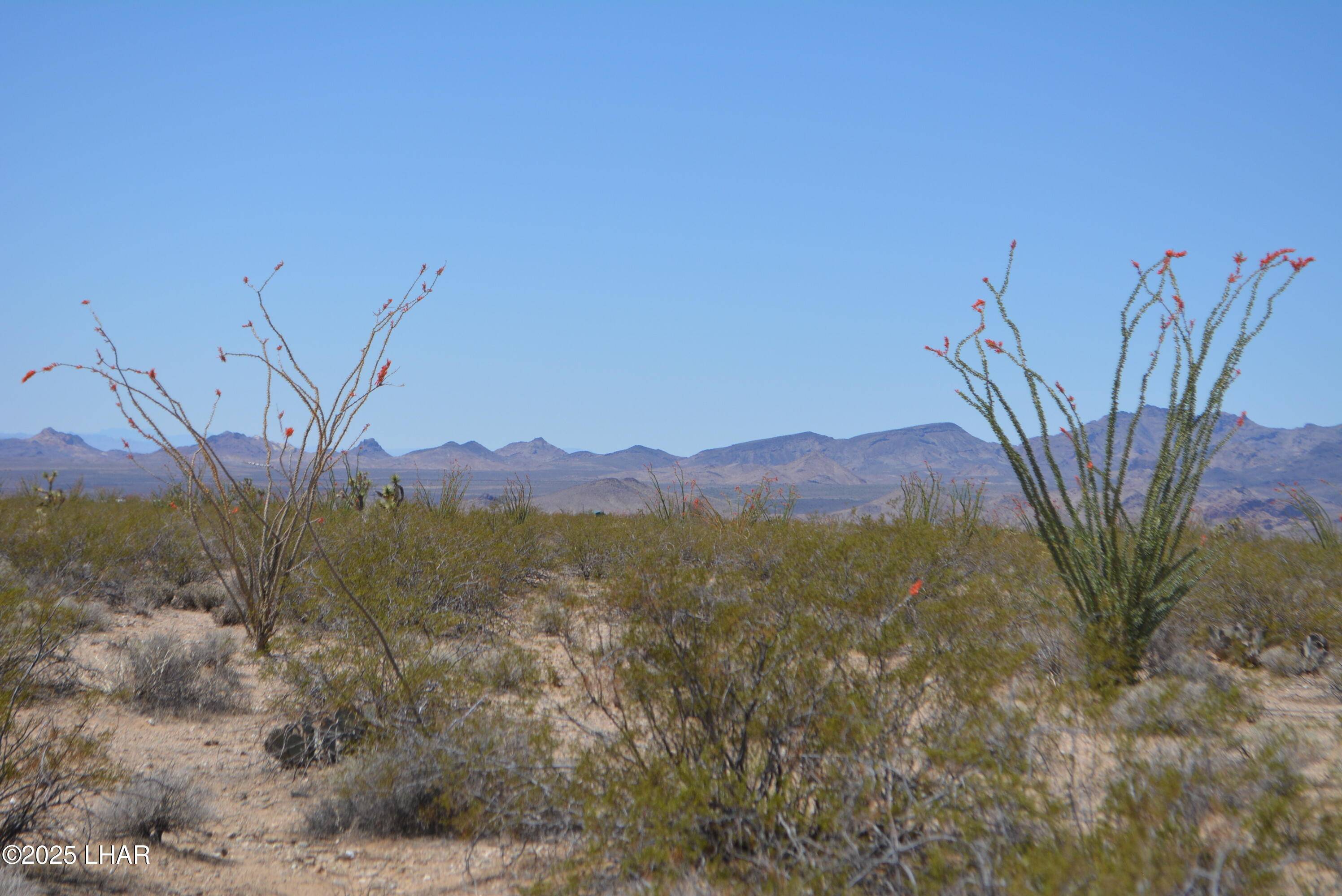 Yucca, AZ 86438,Lot 205 S Cortaro Rd