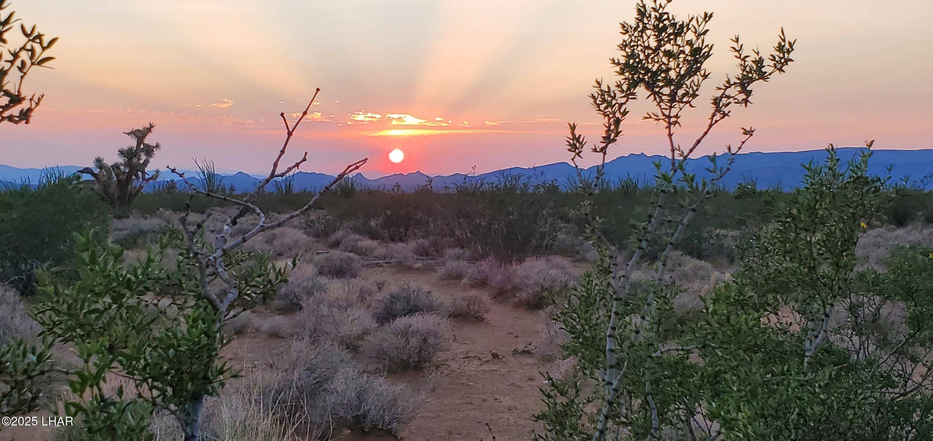 Yucca, AZ 86438,2328 S Tom Mix Rd