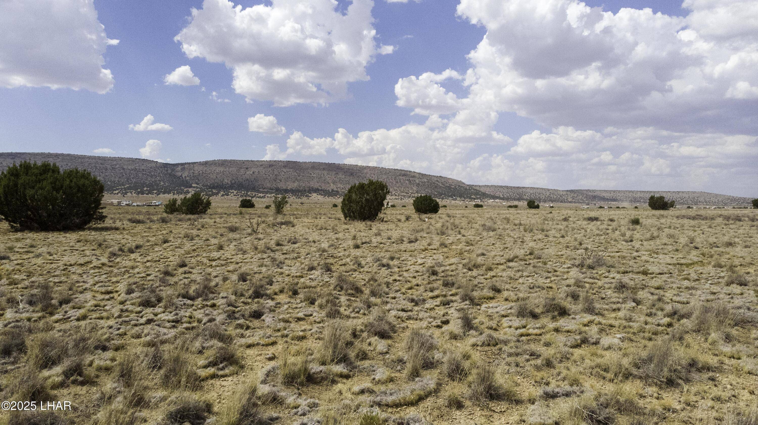 Seligman, AZ 86337,53236 N Saddlerock Dr