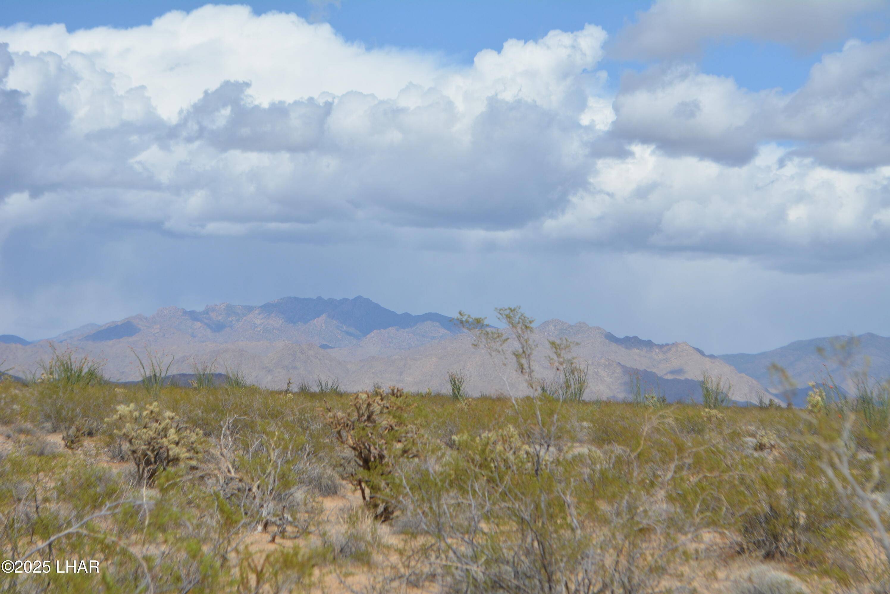 Yucca, AZ 86438,165/166 Cherry Rd