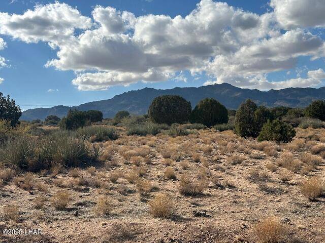 Hackberry, AZ 86411,0000 N Running Brook Dr