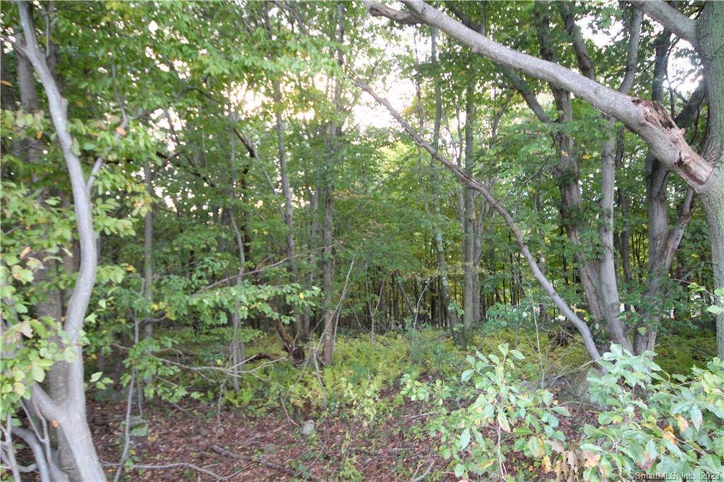 Prospect, CT 06712,20 New Haven Road
