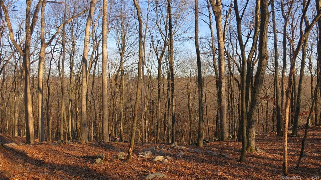 Redding, CT 06896,67 Umpawaug Road