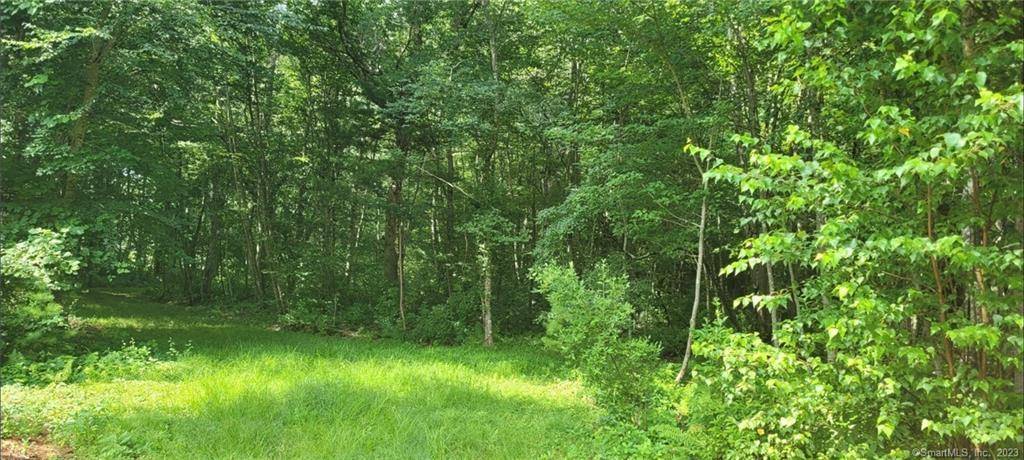 Old Lyme, CT 06371,287 Boston Post Road