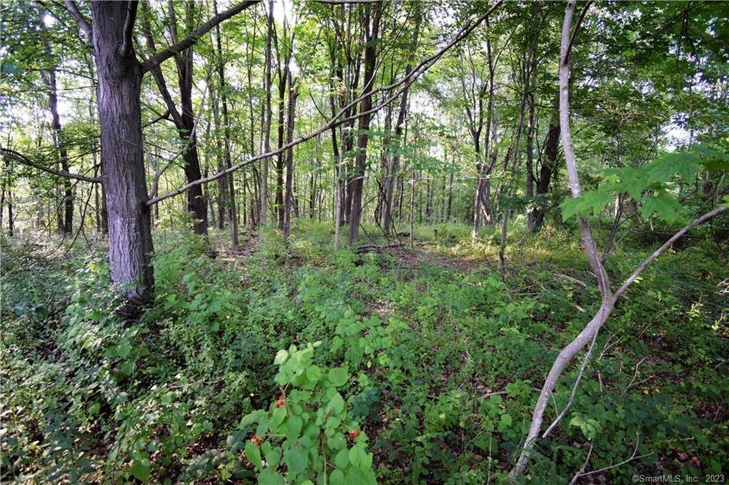 Guilford, CT 06437,LOT #22 Kenneth Circle #MAP #77