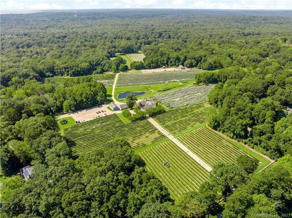 Clinton, CT 06413,115 Cow Hill Road