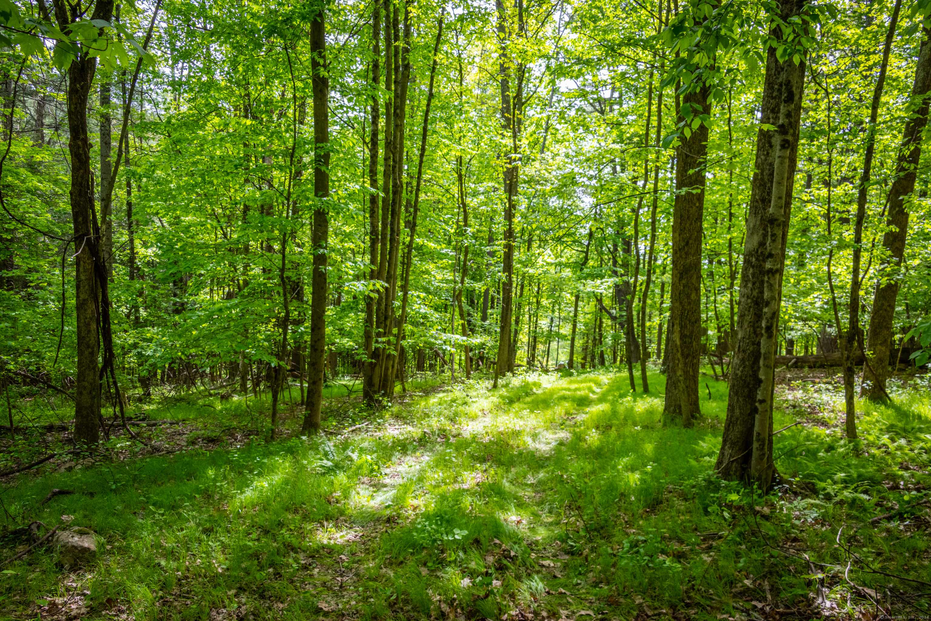 Canaan, CT 06031,198-2 Beebe Hill Road