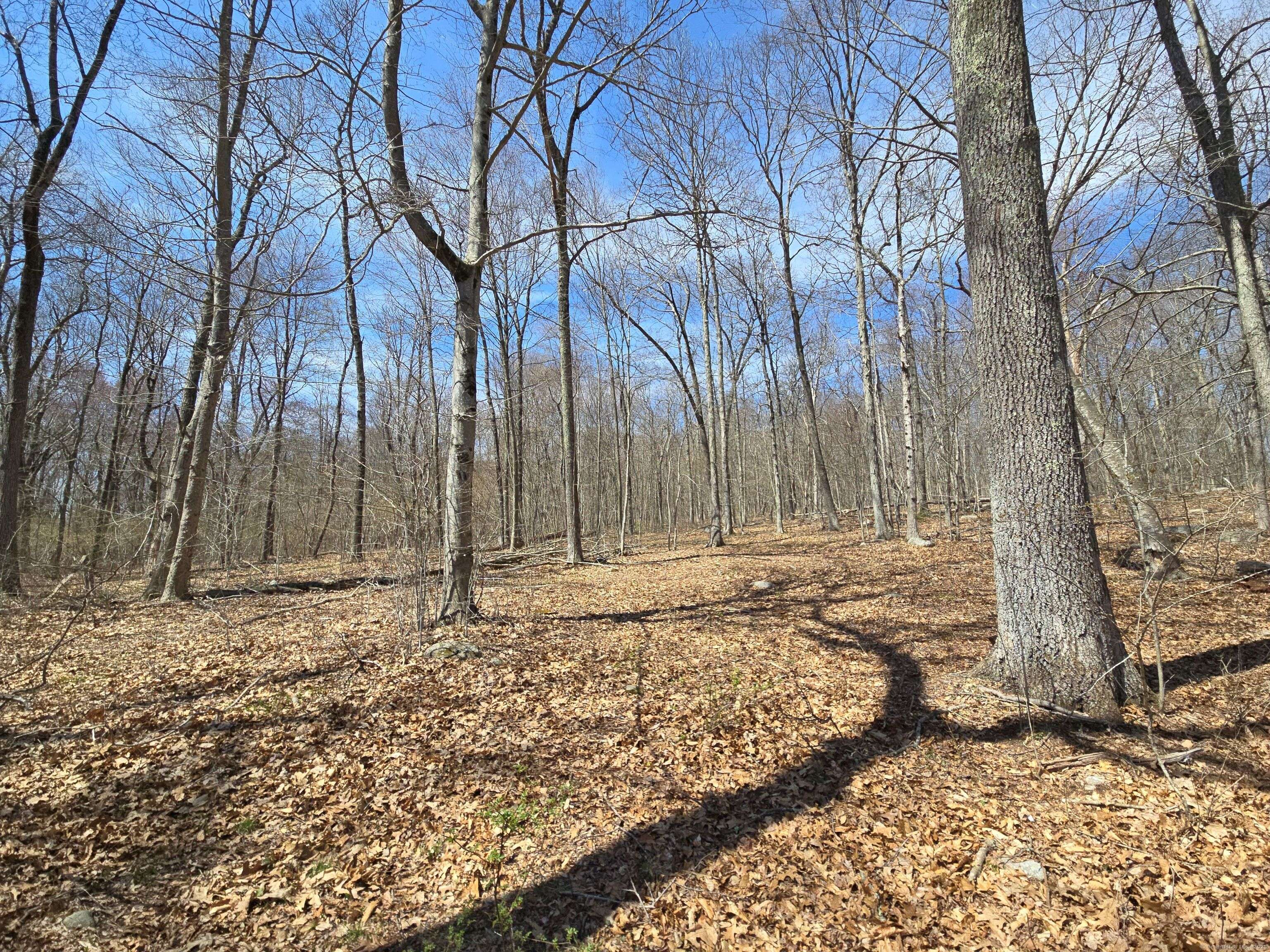Salem, CT 06420,169 Scott Hill Road