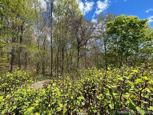 Torrington, CT 06790,Westledge Terrace #LOT 19