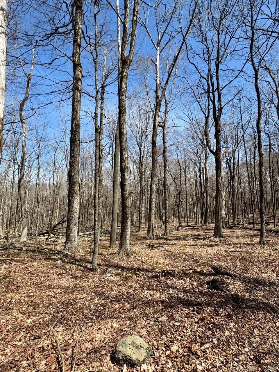 Kent, CT 06757,5 Weantinogue Lane