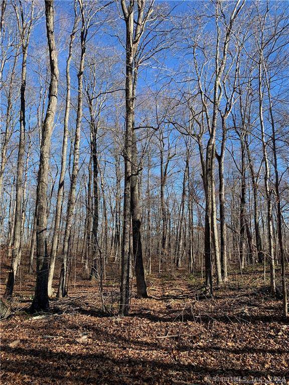 Clinton, CT 06413,Lot 4 Killingworth Turnpike