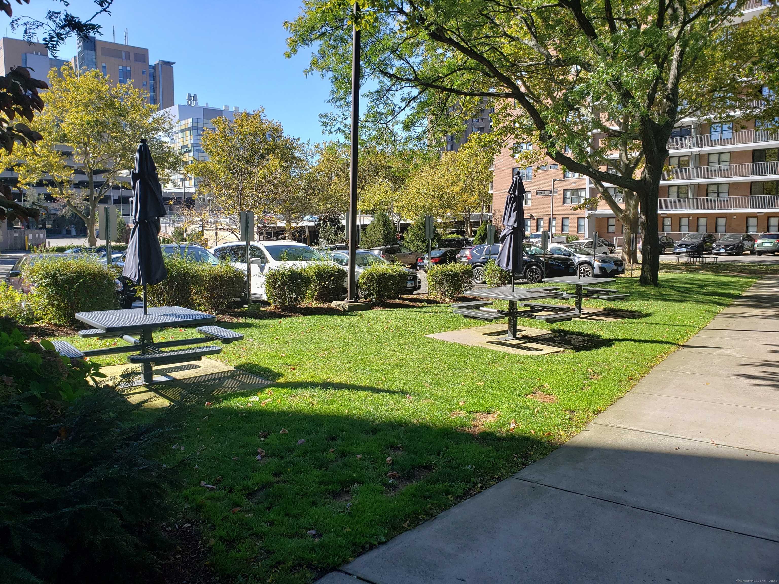 New Haven, CT 06511,100 York Street #5 S