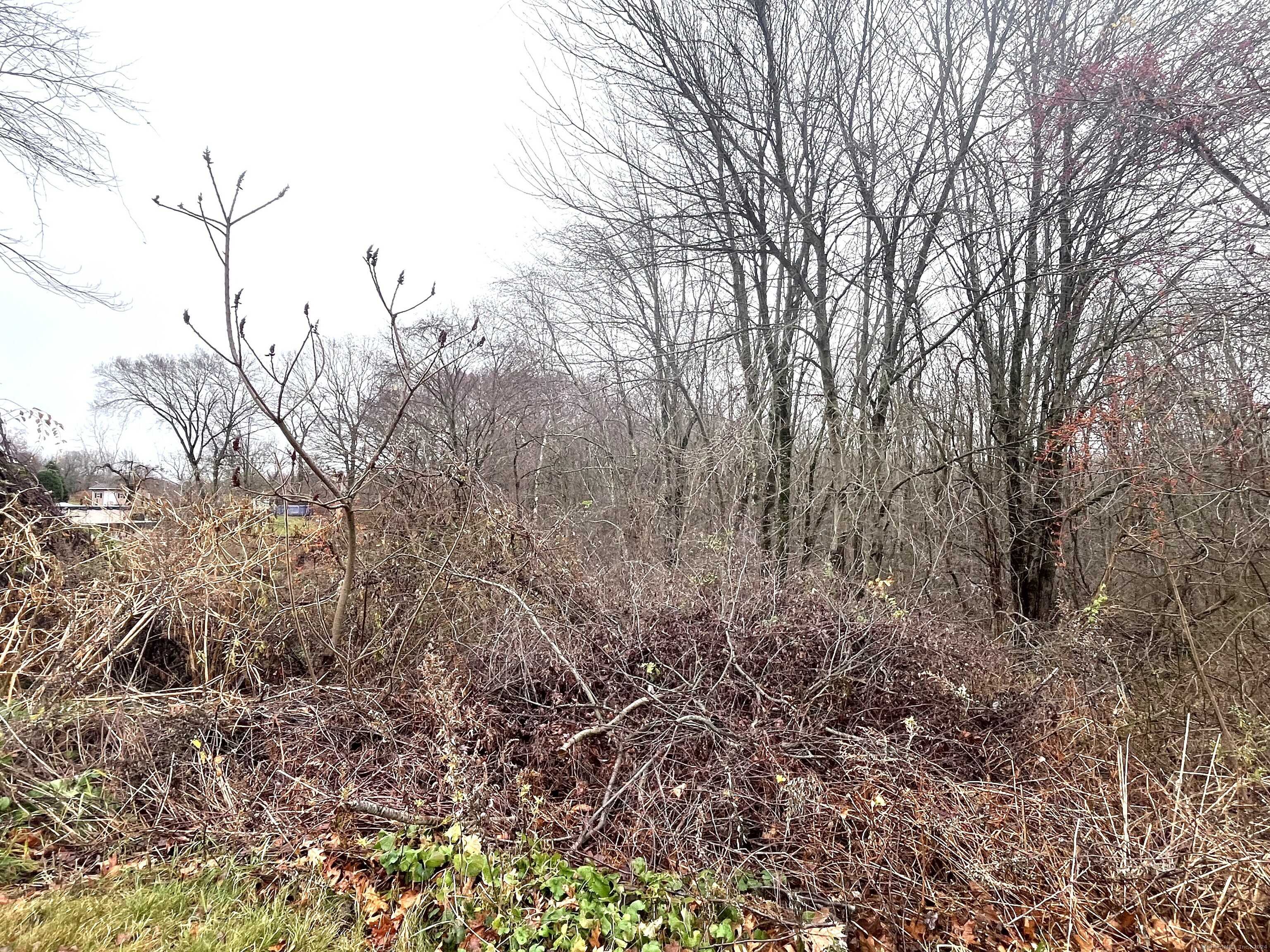 Prospect, CT 06712,8 Trotters Way