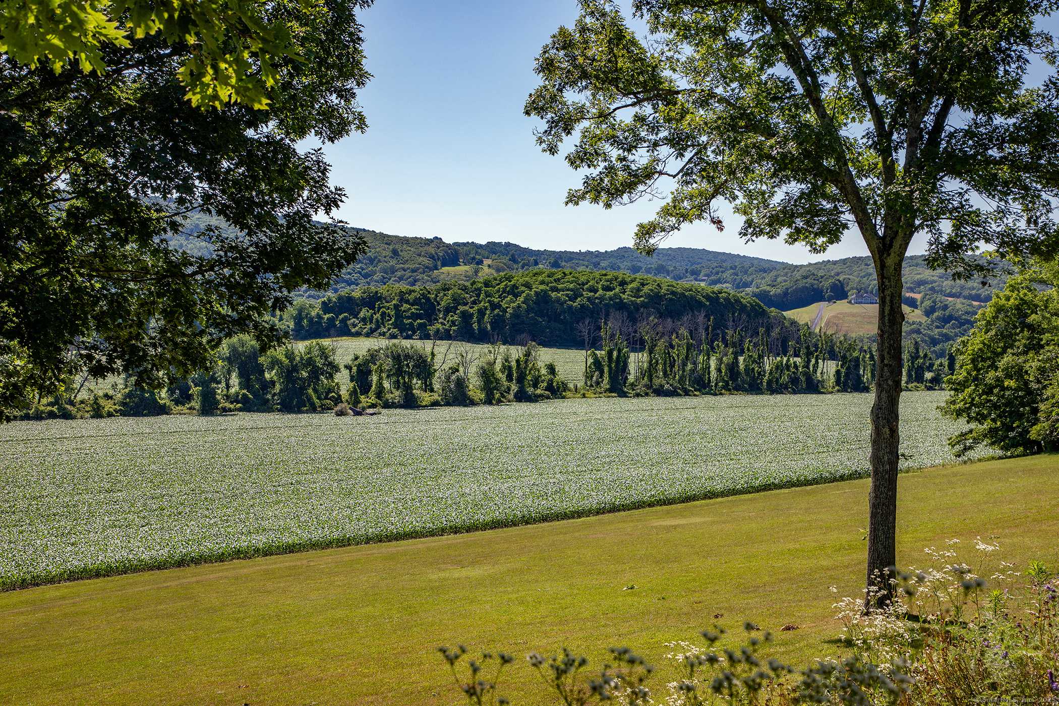 Pine Plains, NY 12567,617 Bean River Road