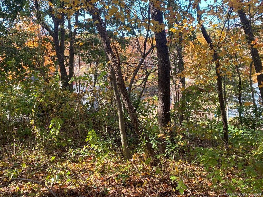 Plymouth, CT 06786,93-95 Eastview Road