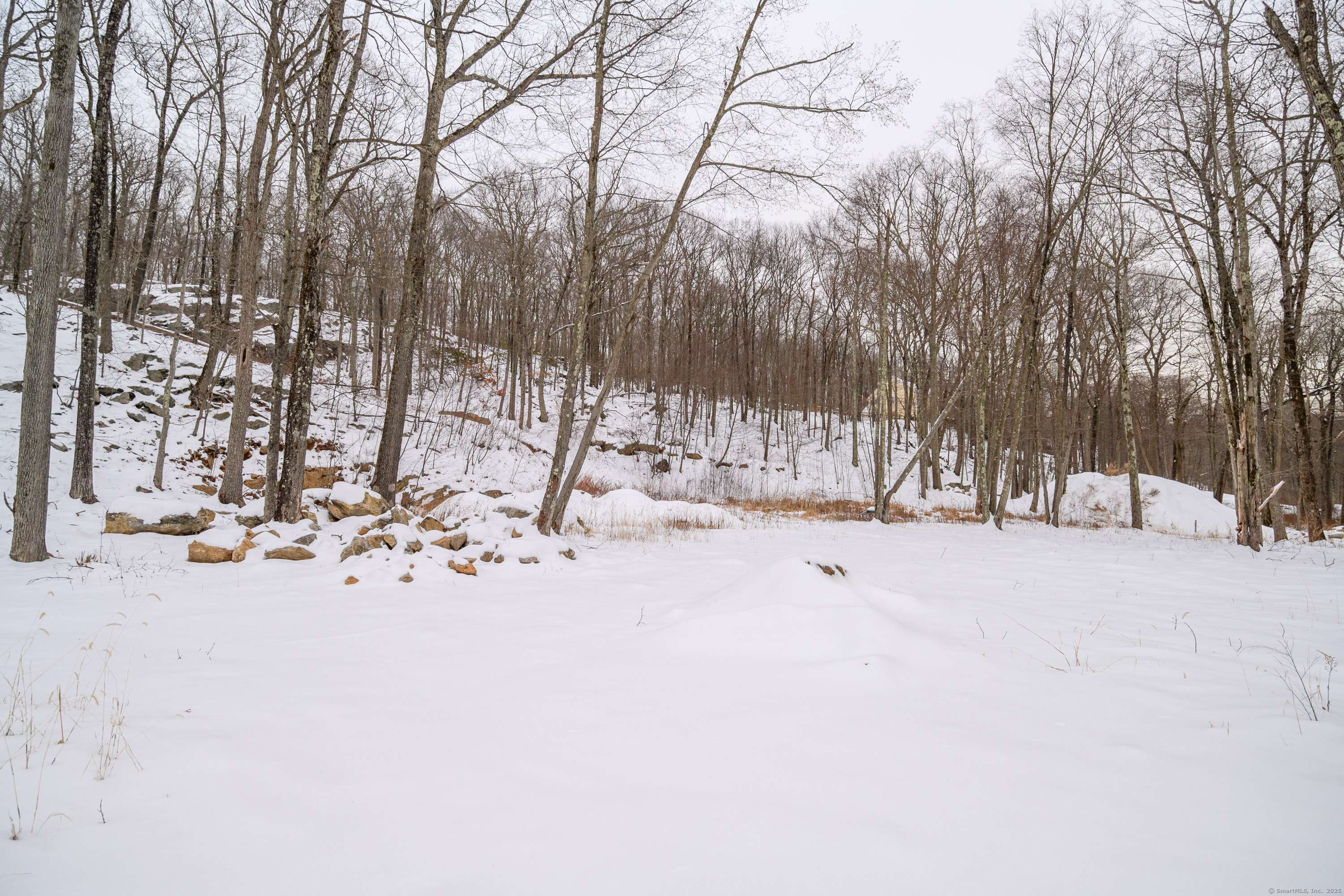 Ridgefield, CT 06877,18 Ives Court