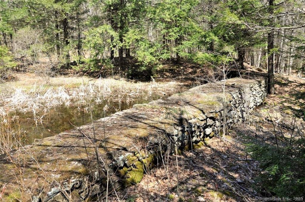 Norfolk, CT 06058,649 Litchfield Road