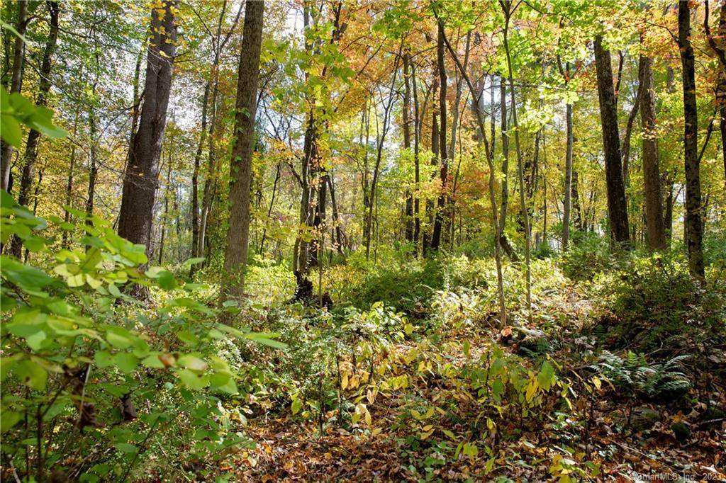 North Canaan, CT 06018,0 Greene Avenue