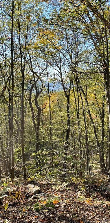Sharon, CT 06069,15 Caray Hill Road