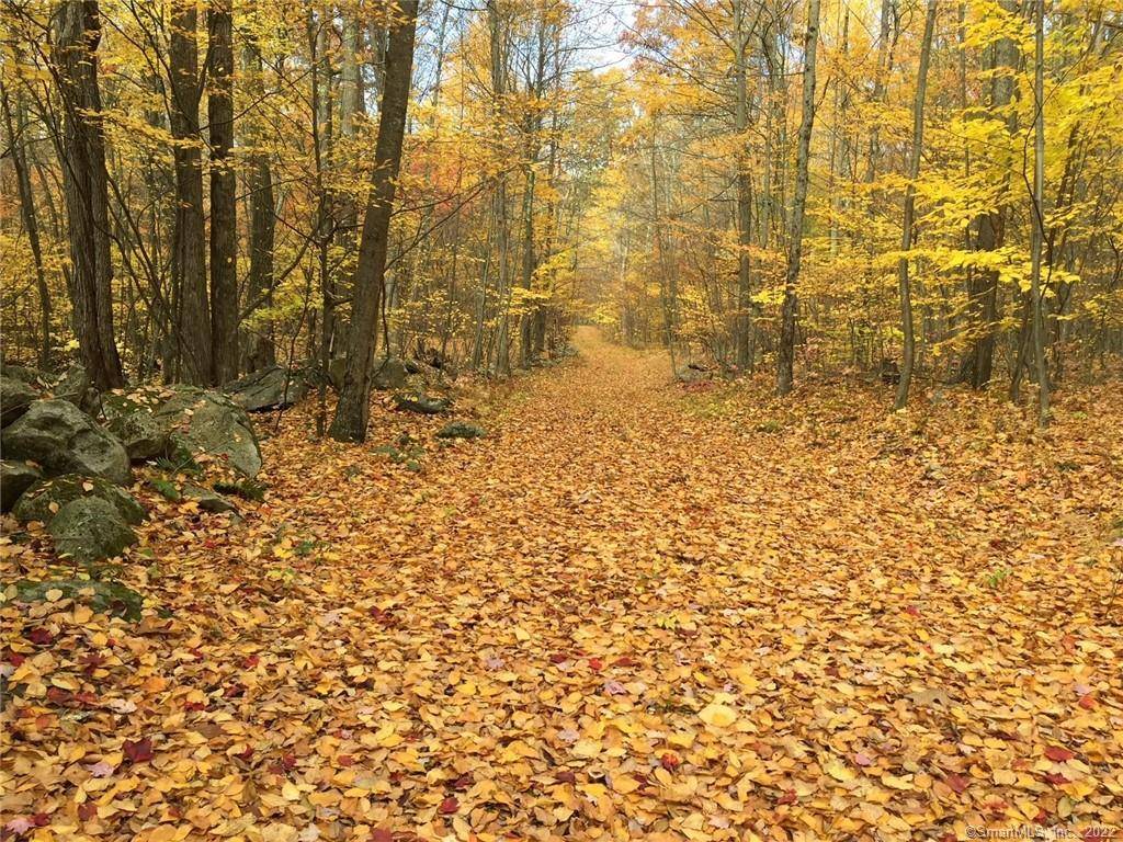 Sharon, CT 06069,15 Caray Hill Road