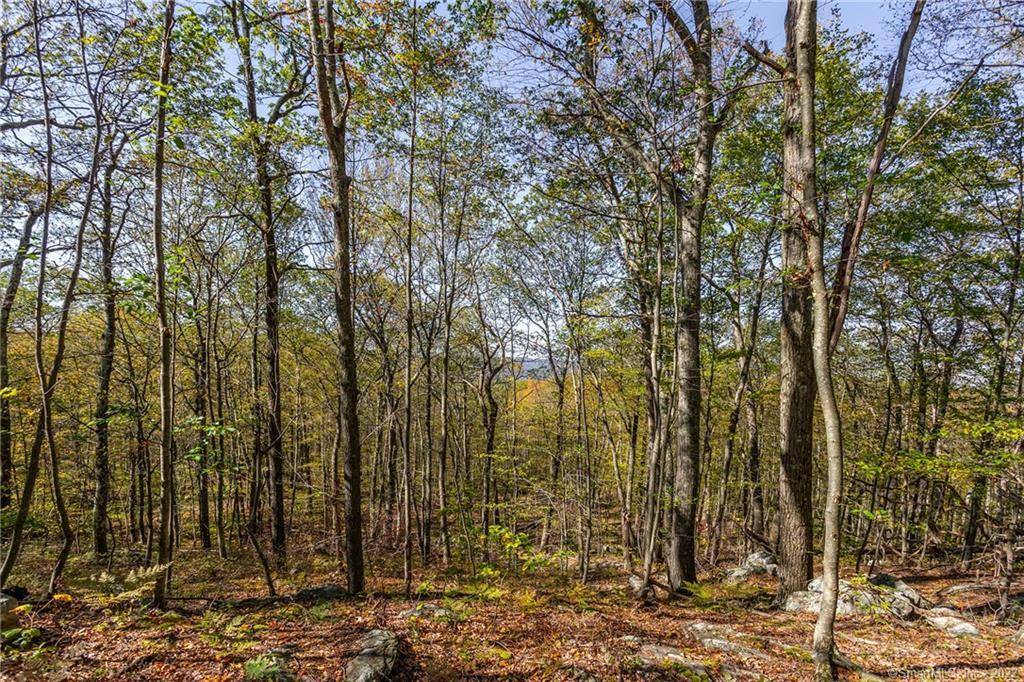 Sharon, CT 06069,15 Caray Hill Road