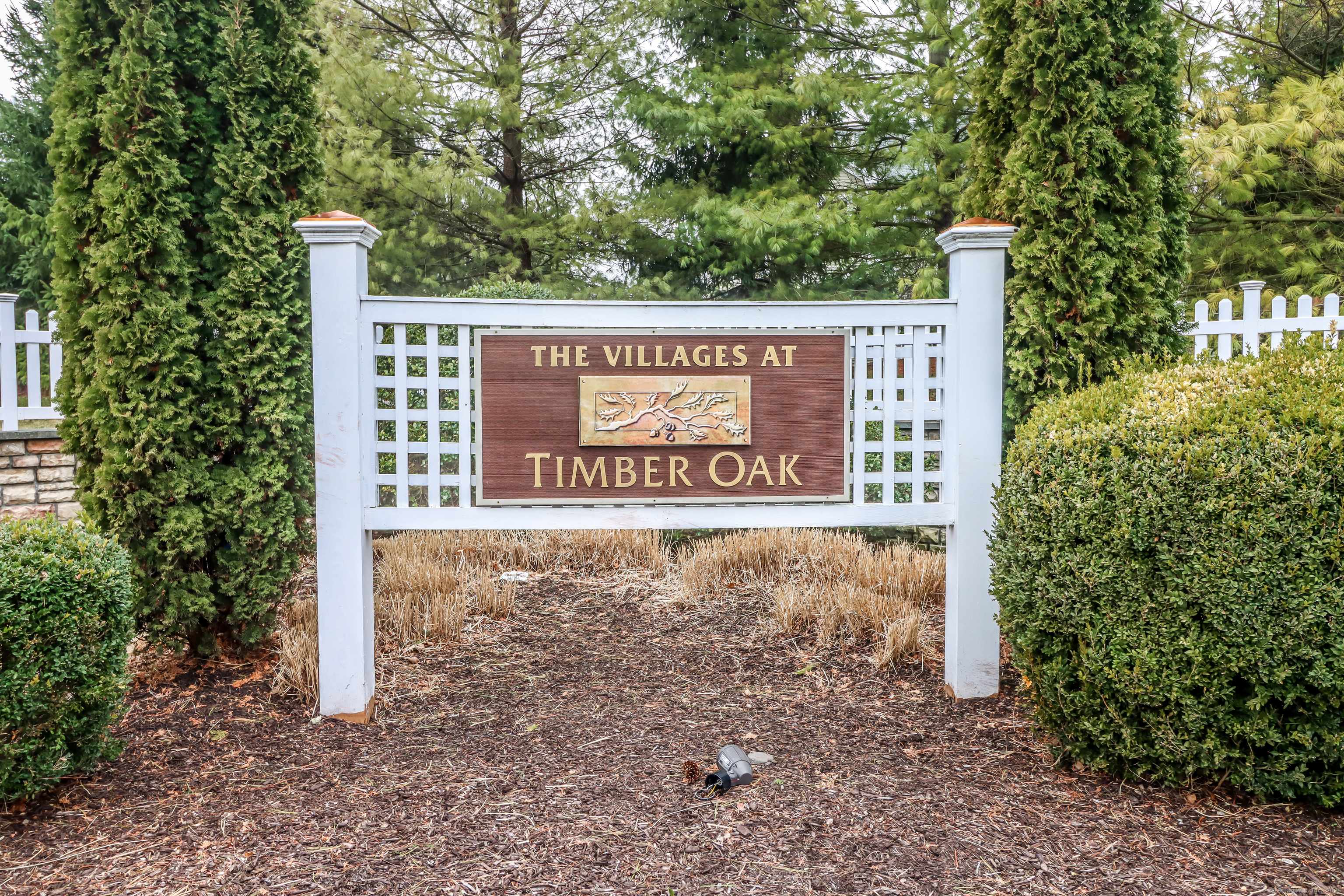 Danbury, CT 06810,11 Sampson Terrace #11