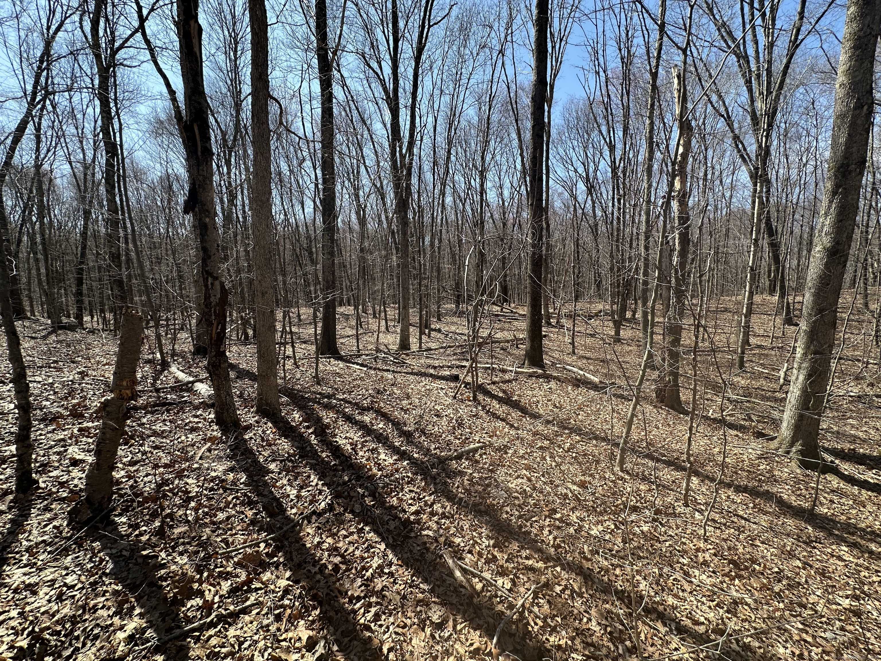 Woodbury, CT 06798,0 Cowles Road