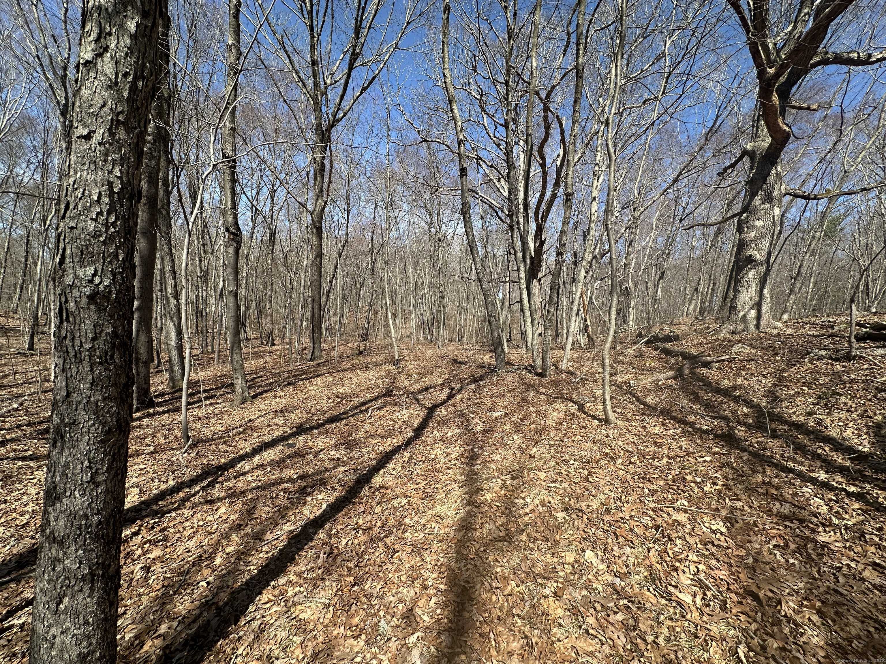 Woodbury, CT 06798,0 Cowles Road