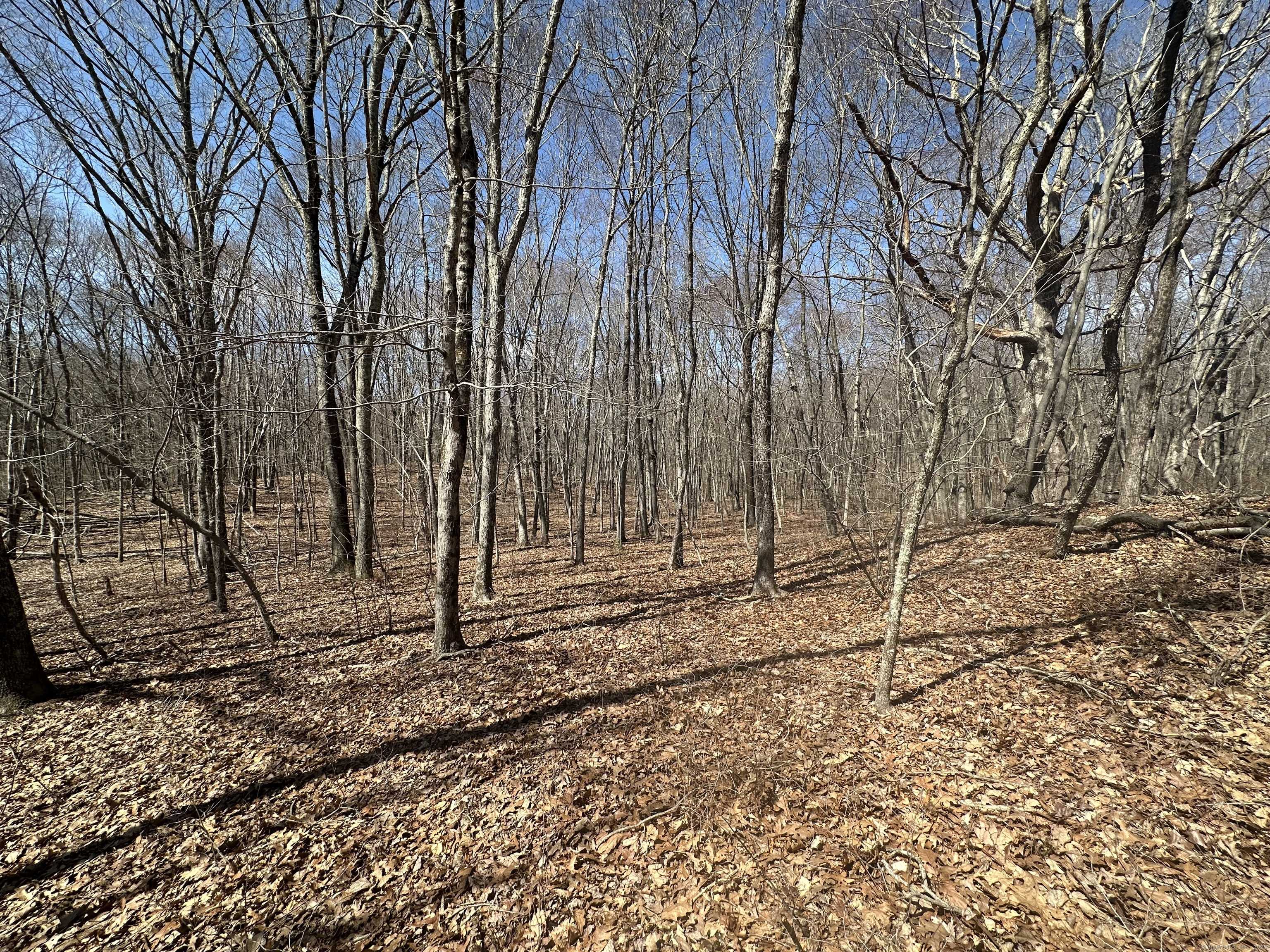 Woodbury, CT 06798,0 Cowles Road