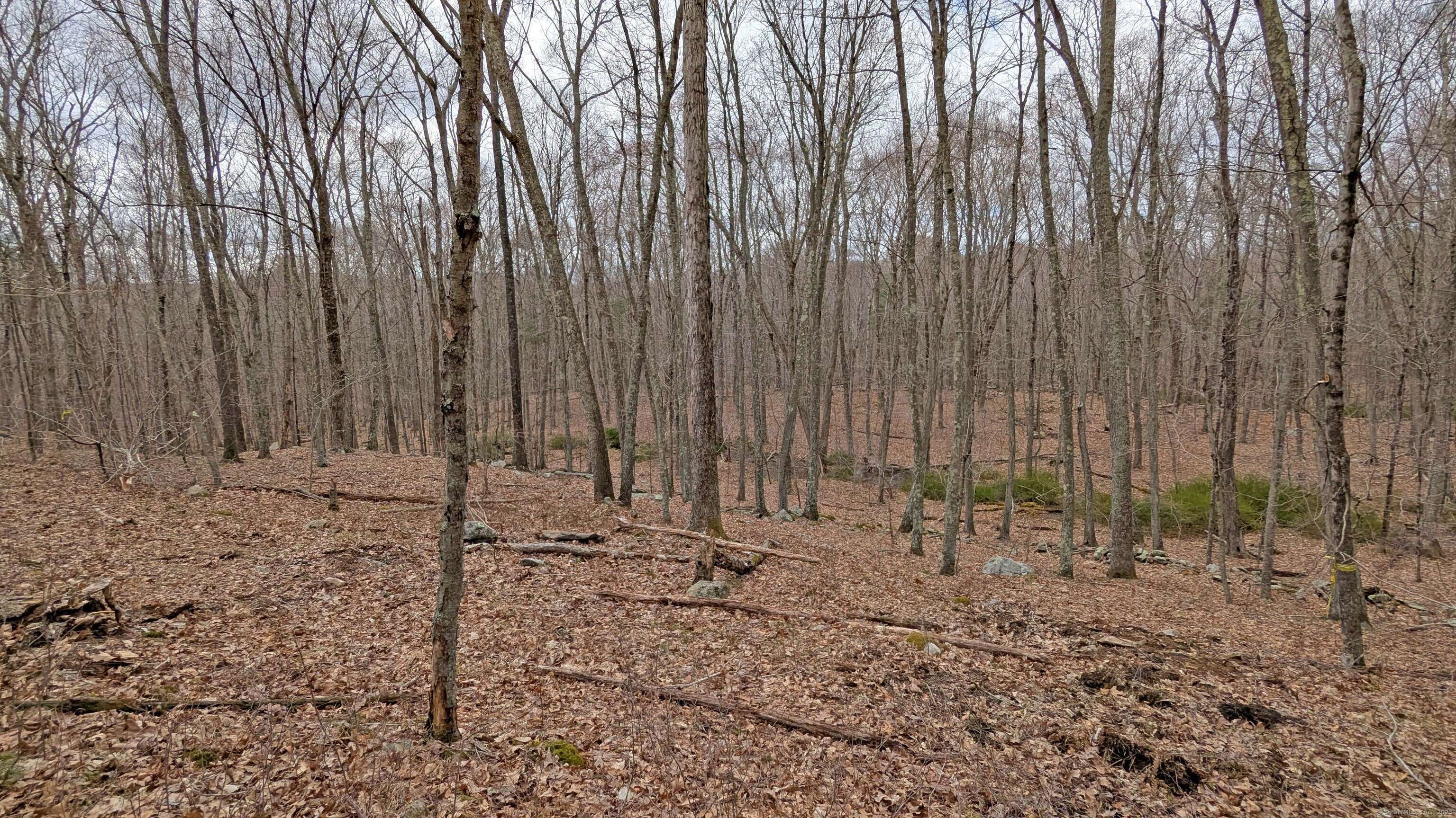 East Hampton, CT 06424,Lot 4 Collie Brook Road