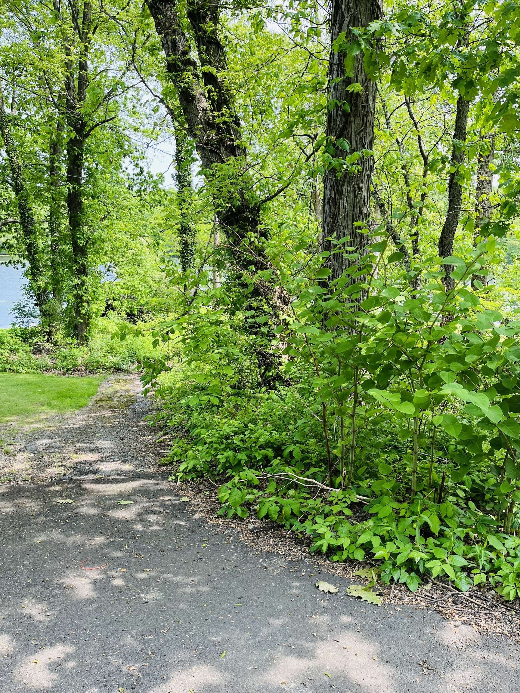 Middlebury, CT 06762,440 Lake Shore Drive