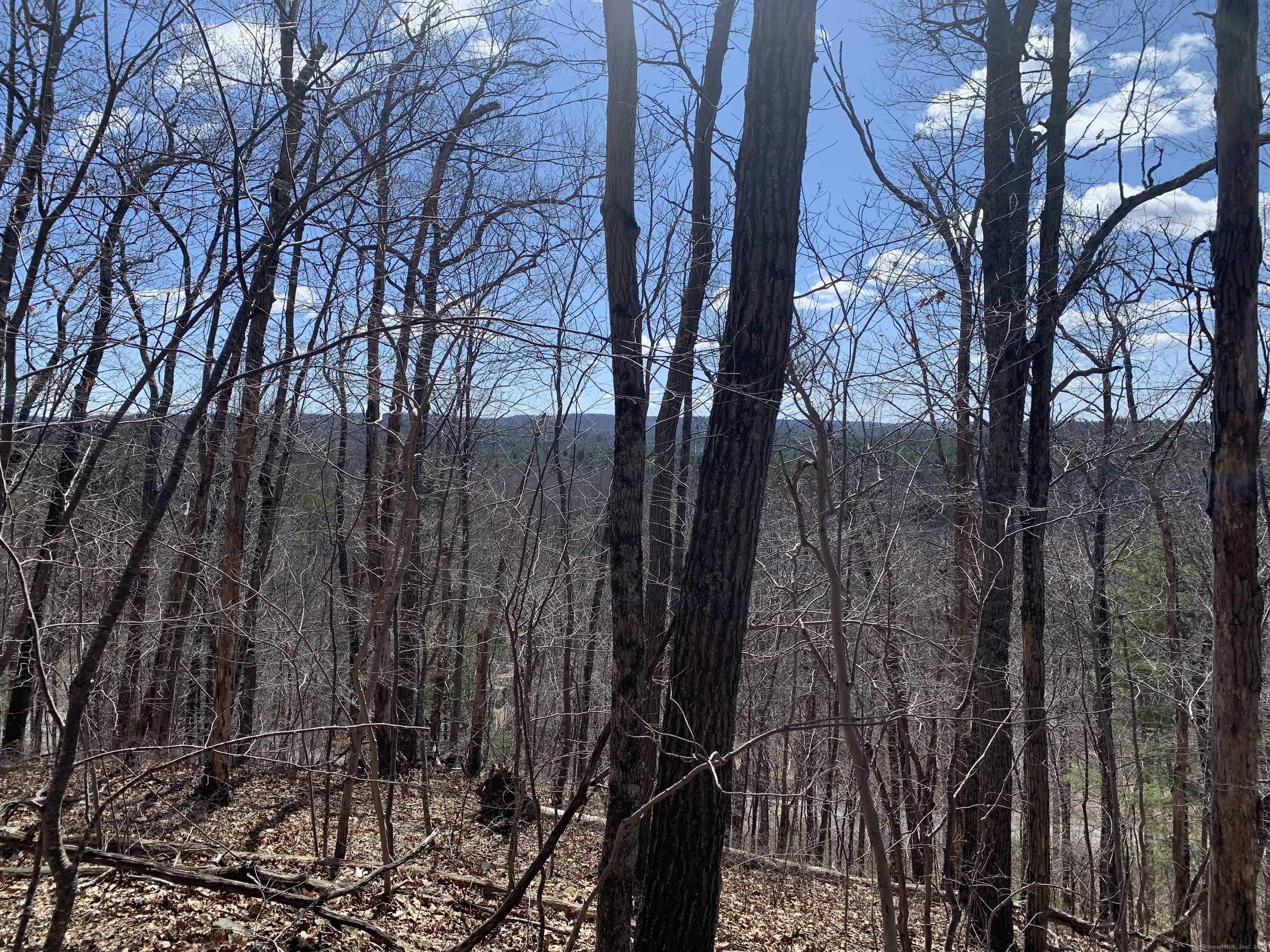 Ellington, CT 06029,89 Crystal Lake Road #T7