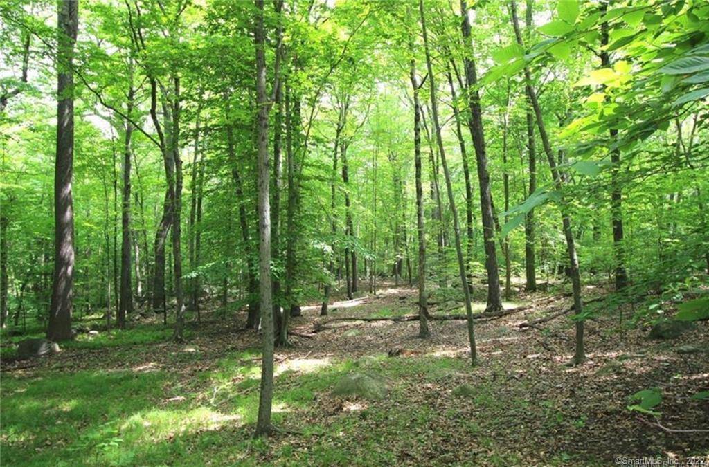 Wilton, CT 06897,0 Mountain Road