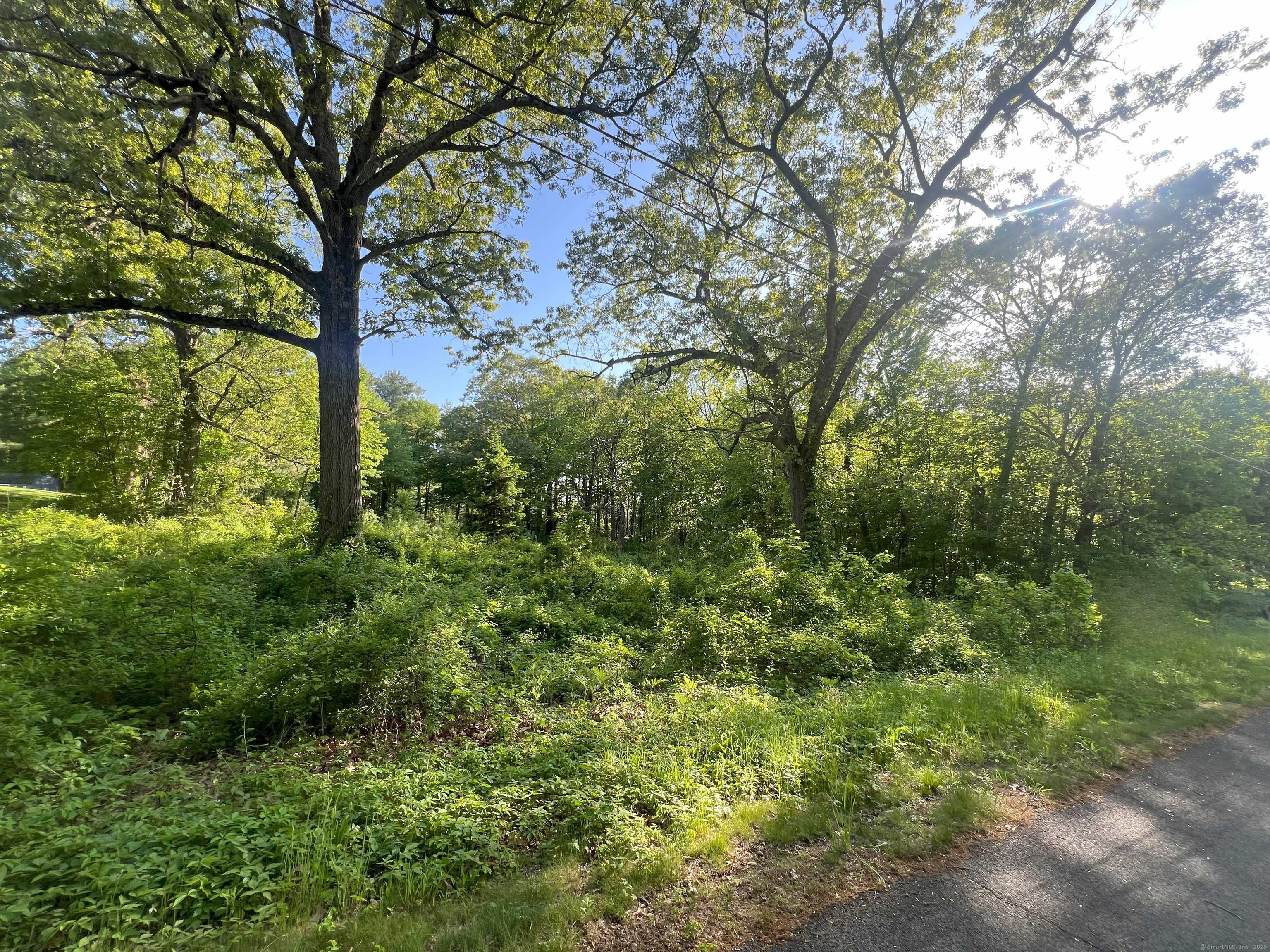 Ellington, CT 06029,50 Snipsic Lake Road