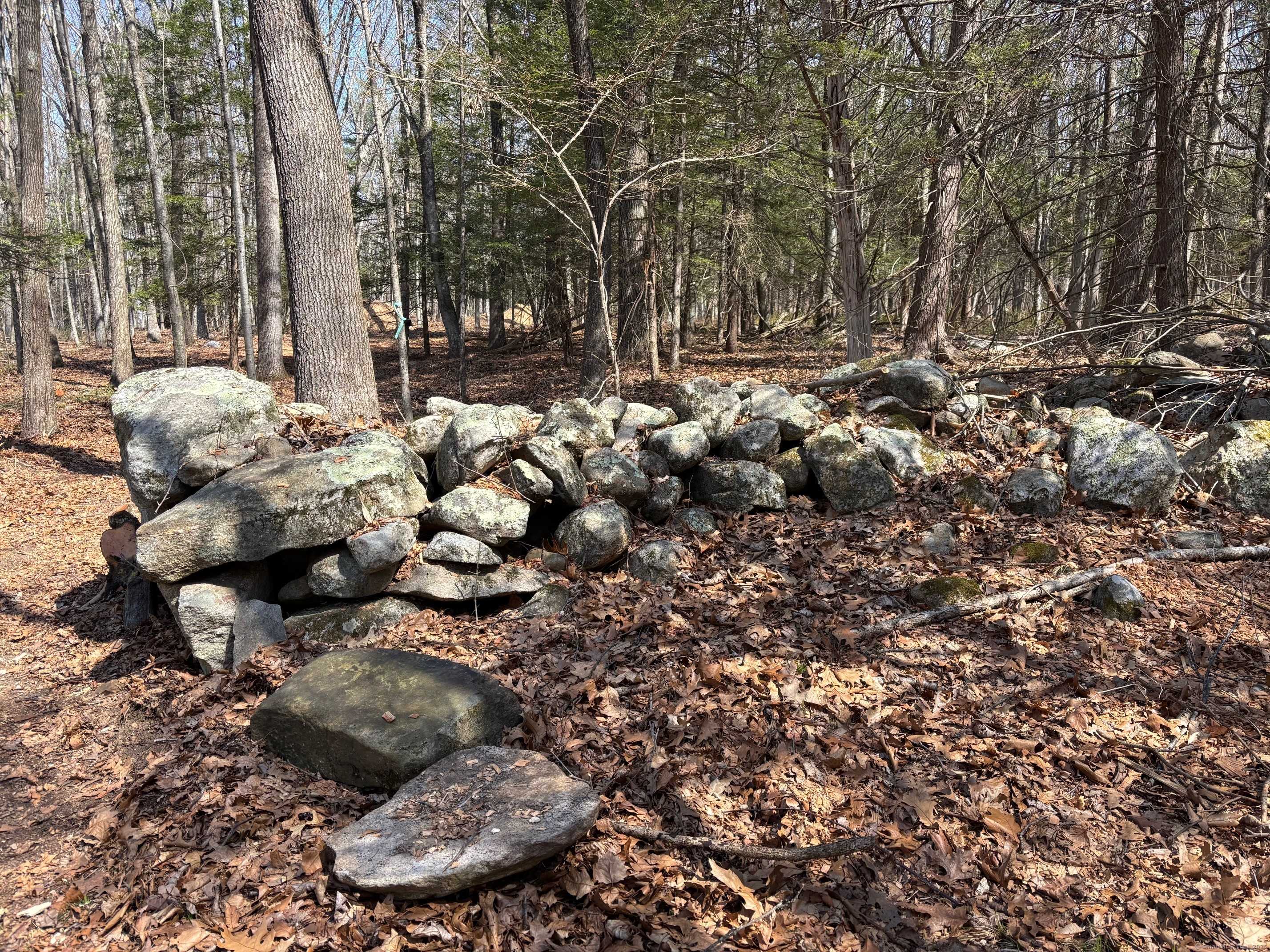 Roxbury, CT 06783,Lot 00 Chalybes Road West