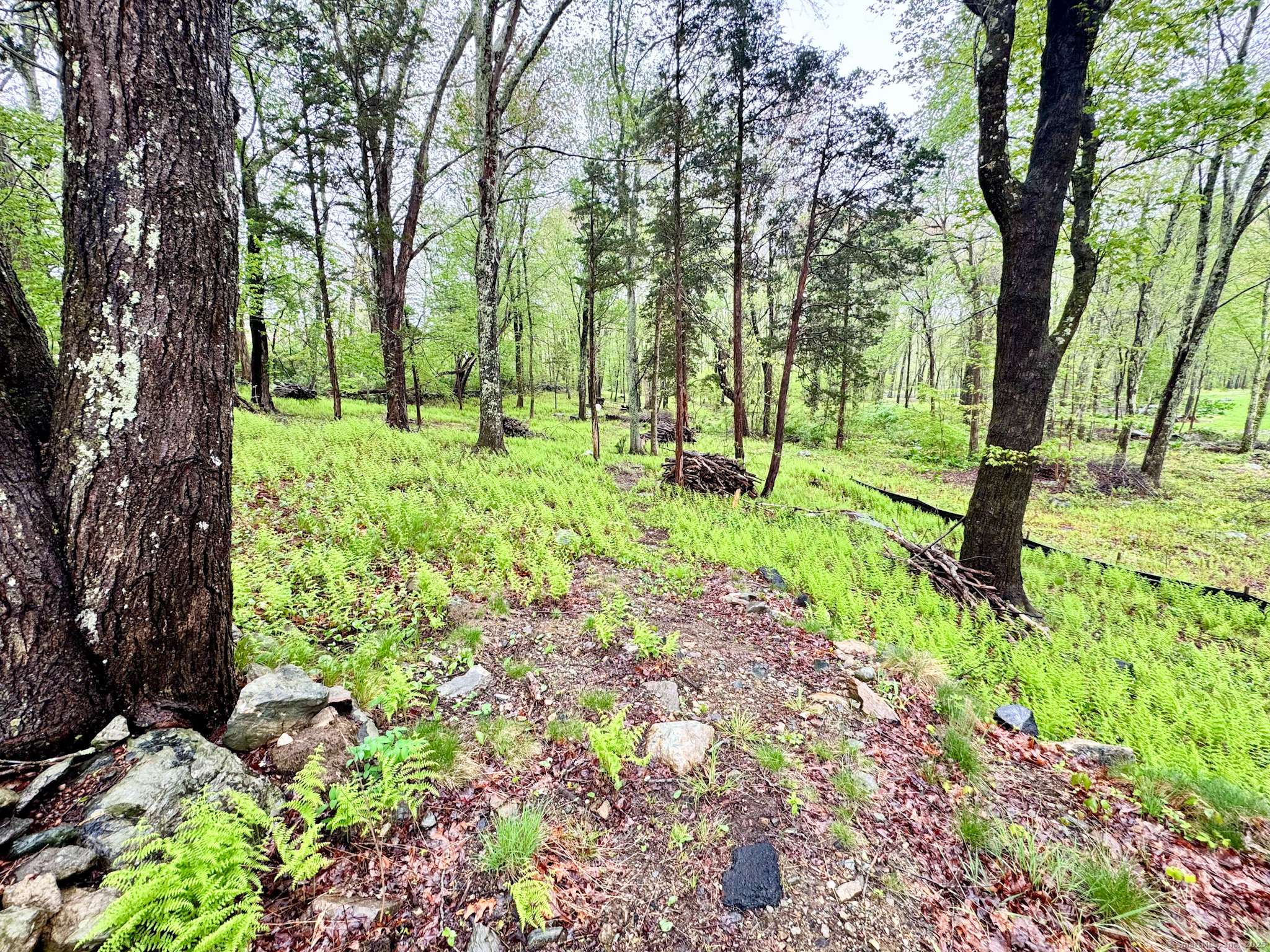 Plainfield, CT 06374,Plainfield Pike