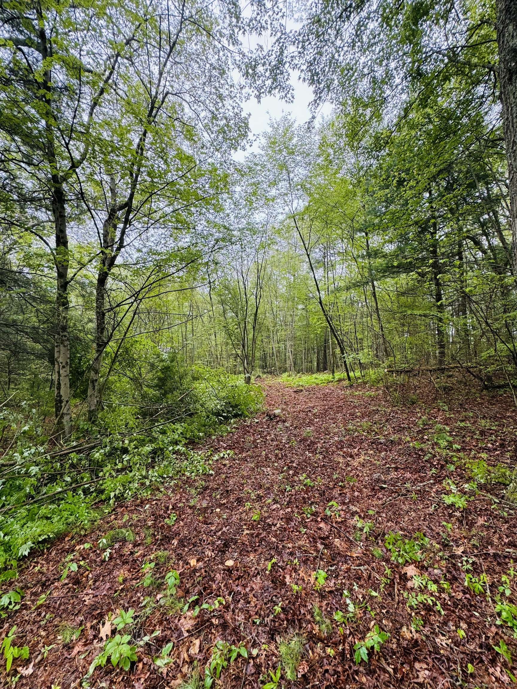 Sterling, CT 06377,18 Ledge Hill Road
