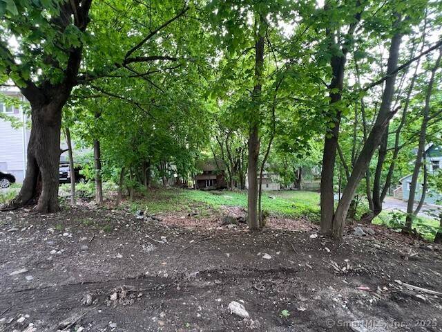 Waterbury, CT 06704,42 Bellevue Street