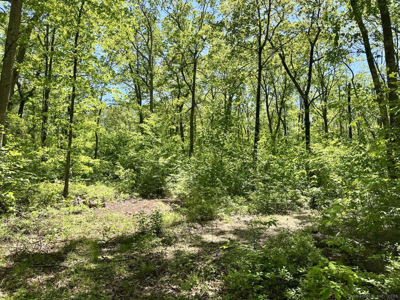 Kent, CT 06757,Kenmont Road