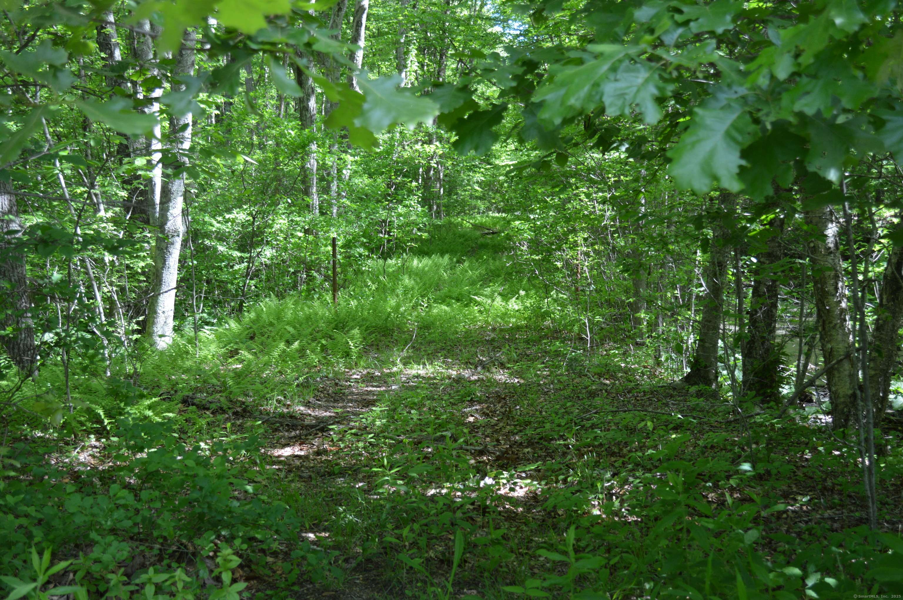 Lebanon, CT 06249,Congdon Road