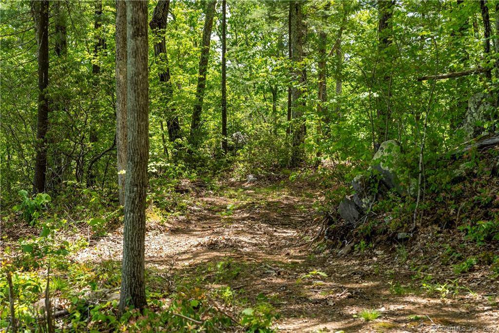 Barkhamsted, CT 06063,13 Dew Road